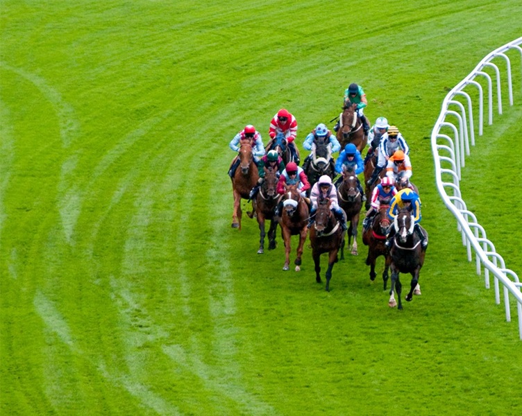 A Beginner's Guide to Flat Racing