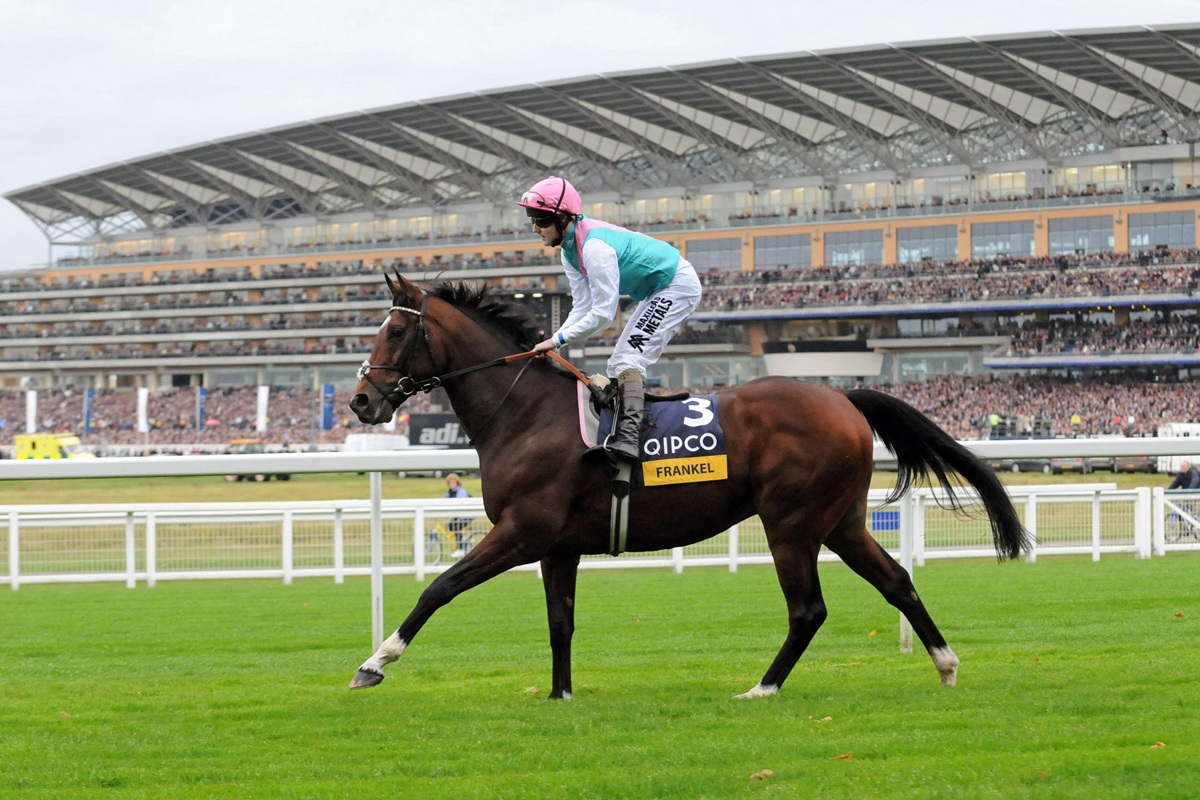 Horses You Don't Forget: Frankel
